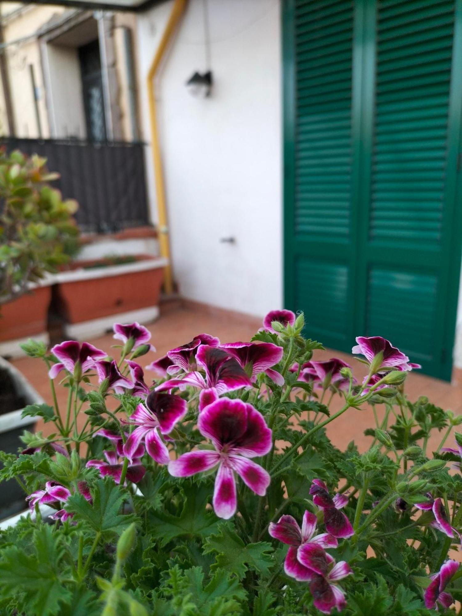 Ciuridda Mia Apartment Palermo Luaran gambar