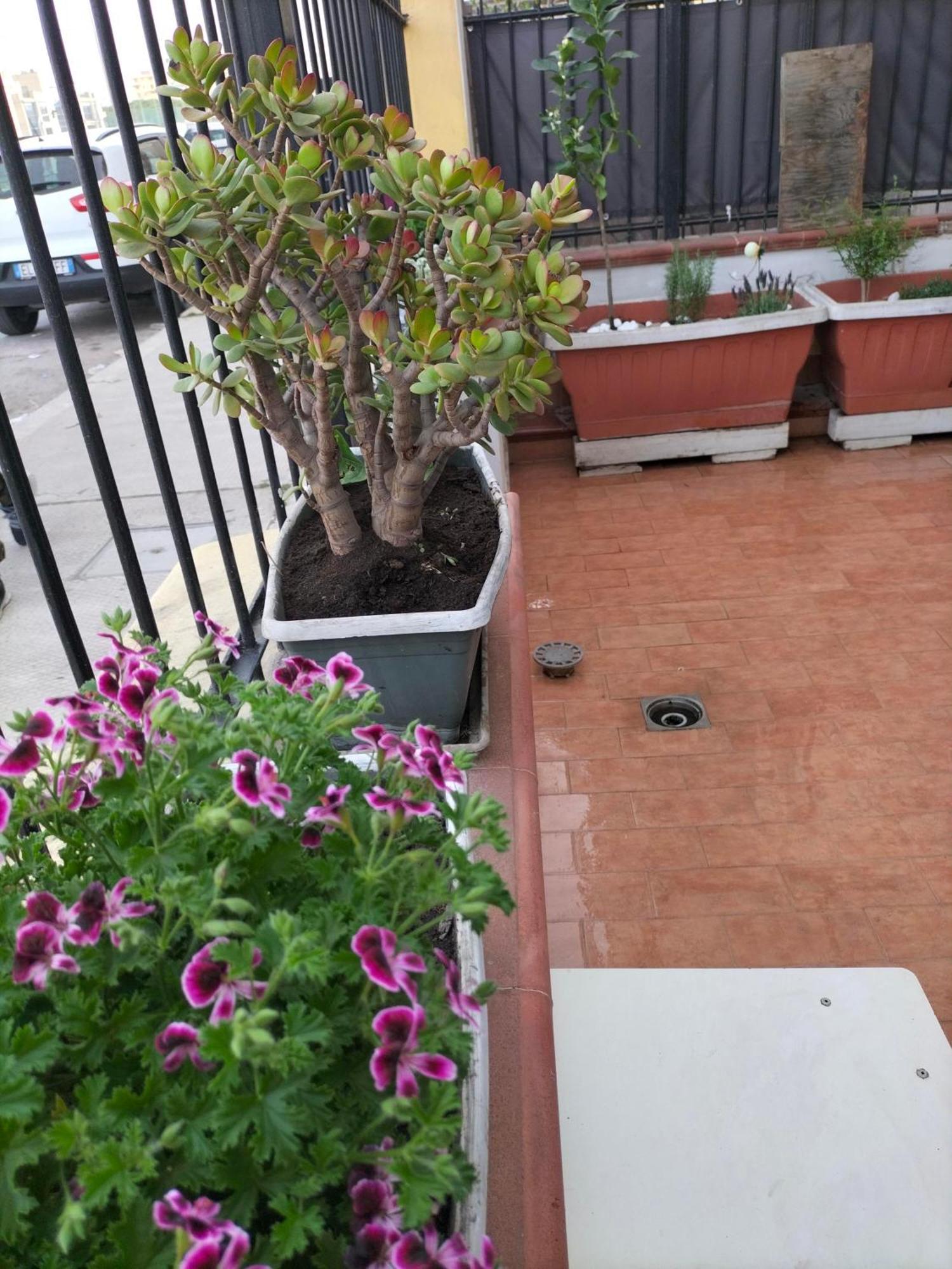 Ciuridda Mia Apartment Palermo Luaran gambar