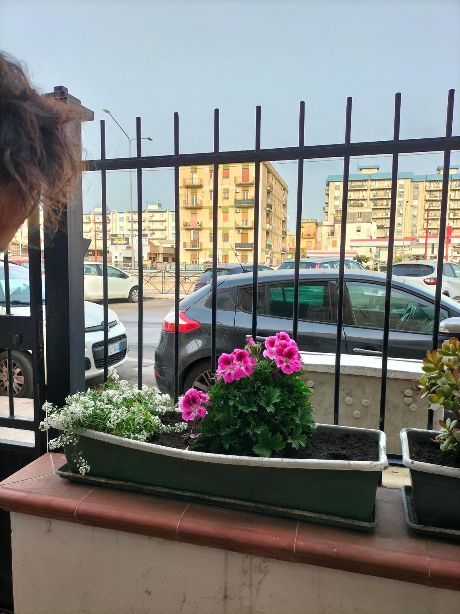Ciuridda Mia Apartment Palermo Luaran gambar