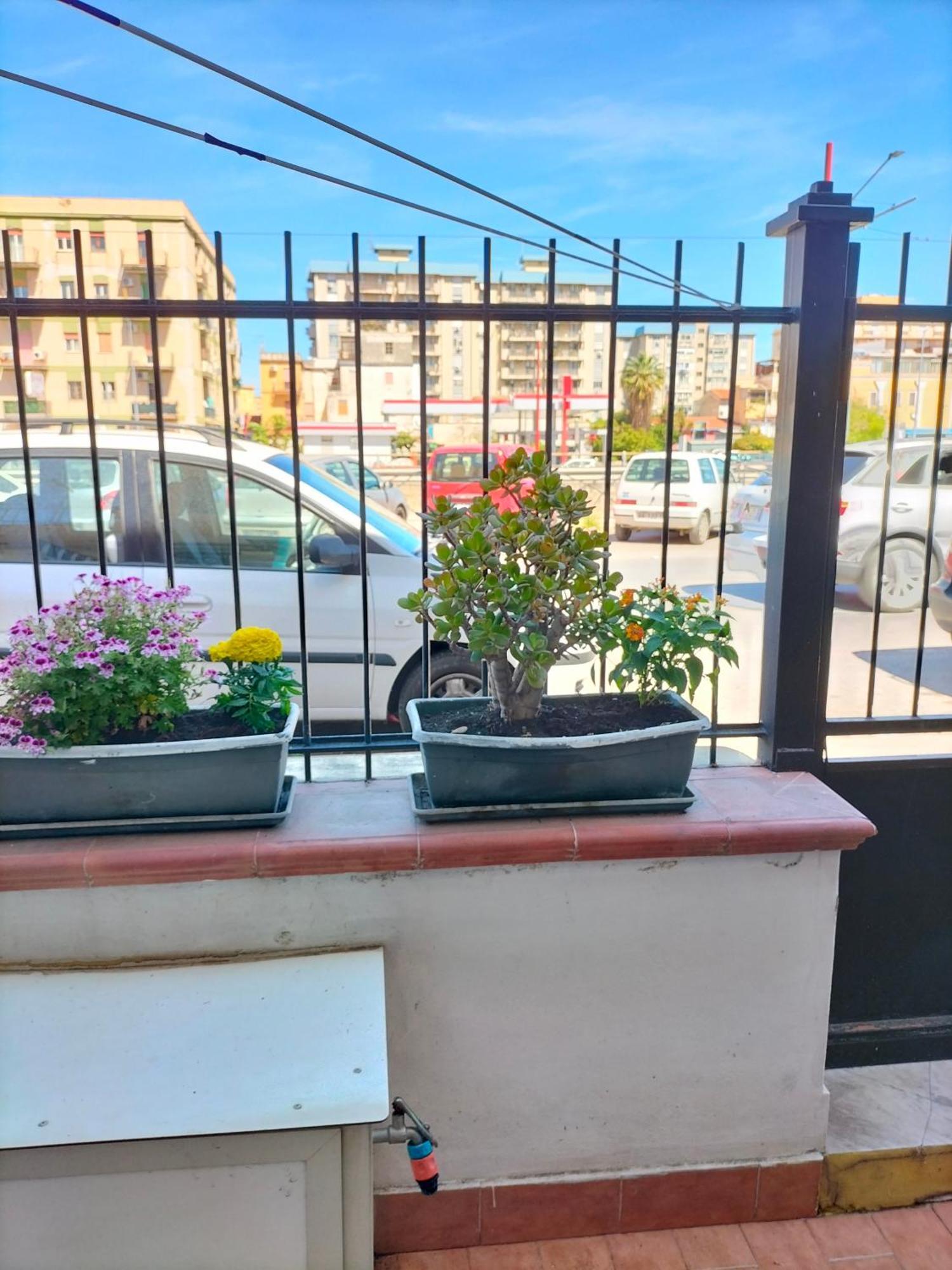 Ciuridda Mia Apartment Palermo Luaran gambar