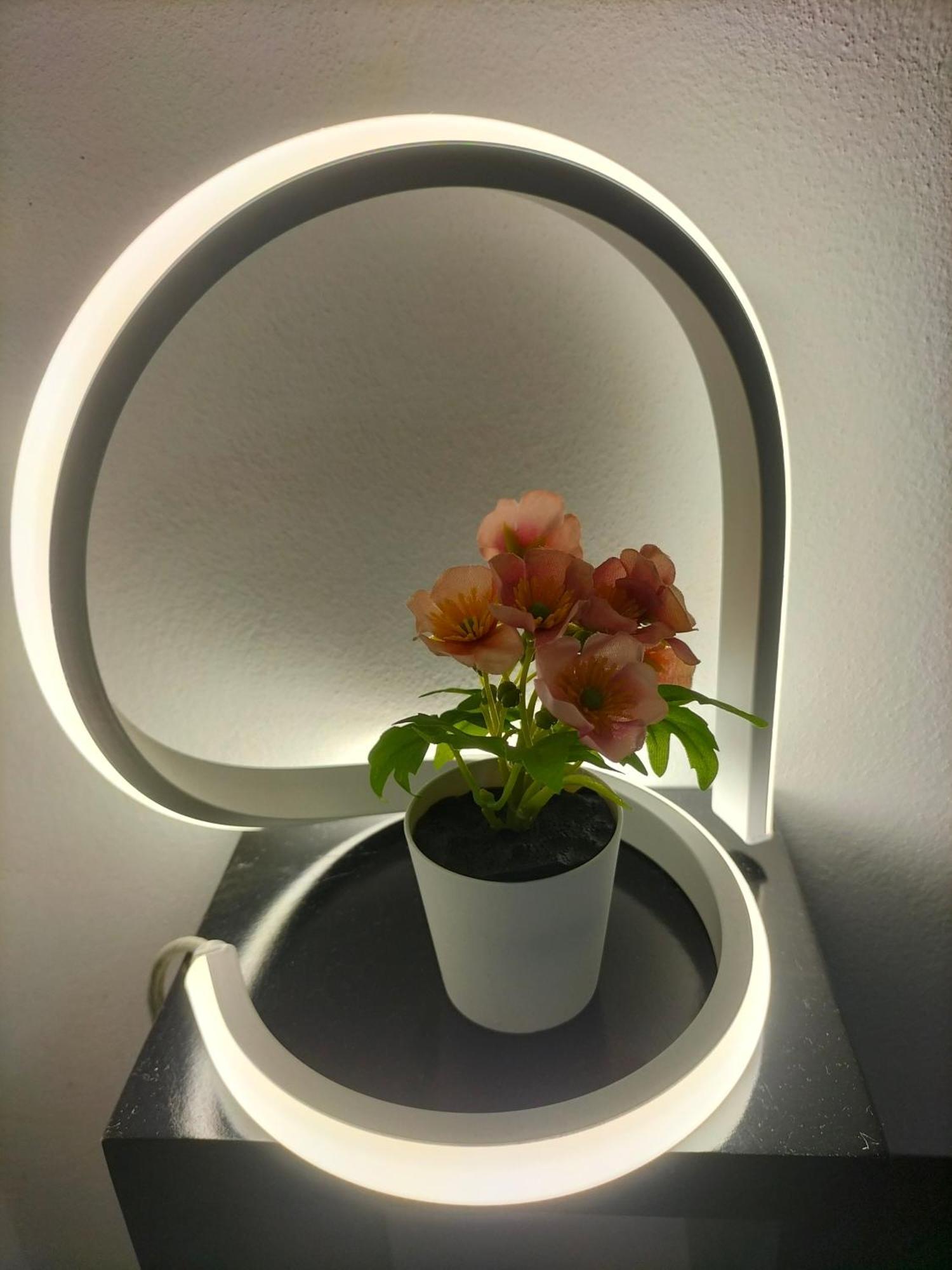 Ciuridda Mia Apartment Palermo Luaran gambar