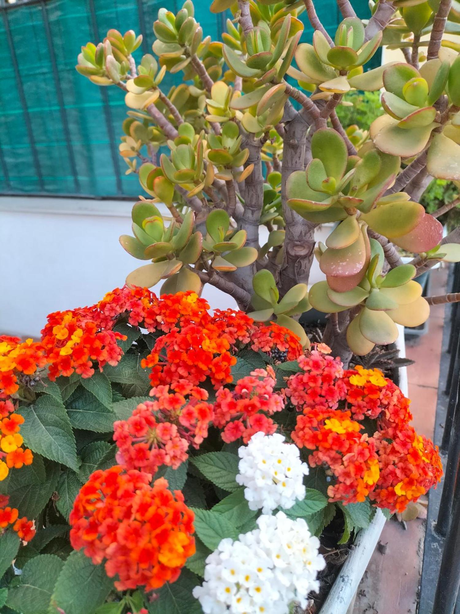 Ciuridda Mia Apartment Palermo Luaran gambar