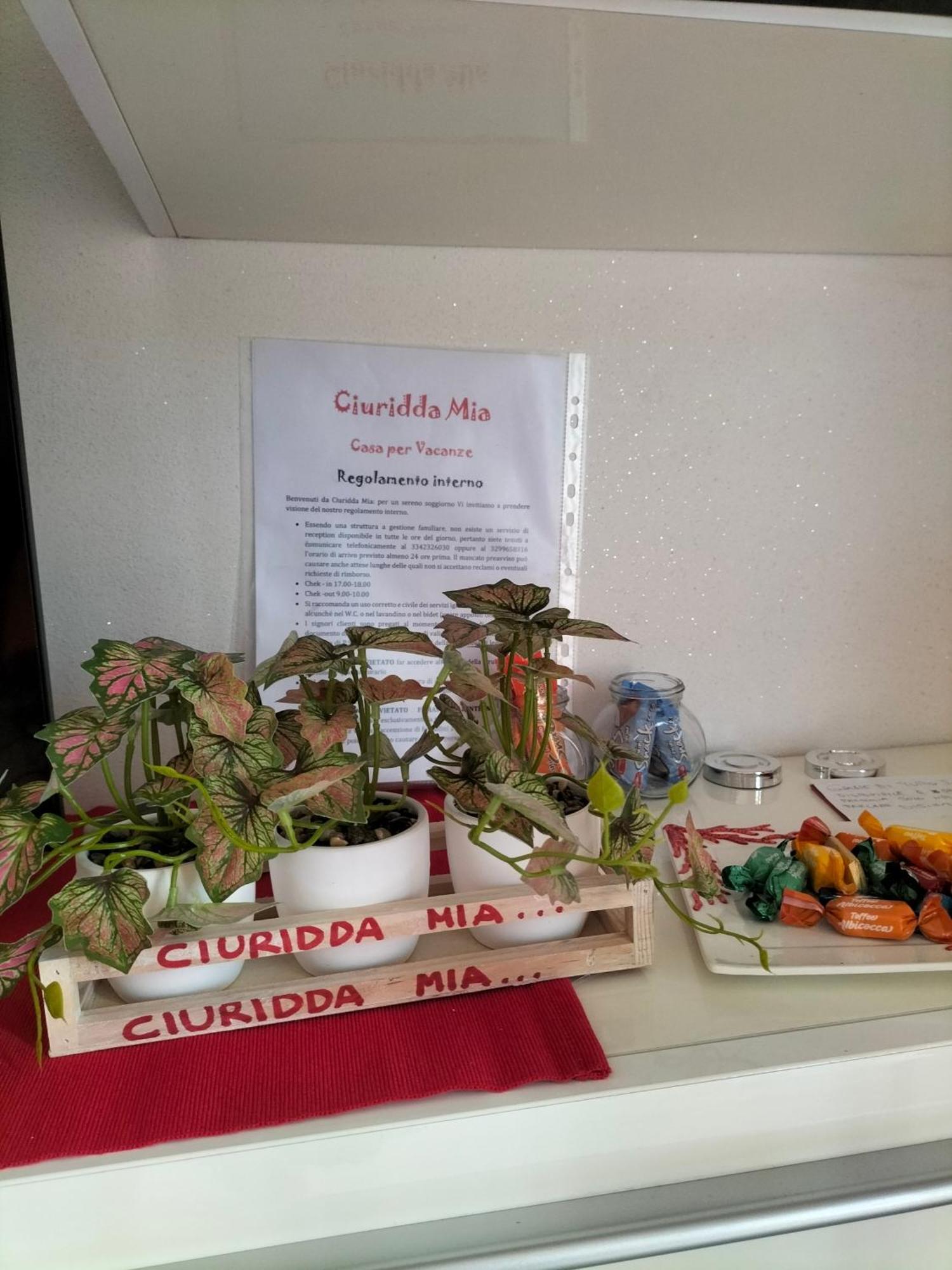 Ciuridda Mia Apartment Palermo Luaran gambar